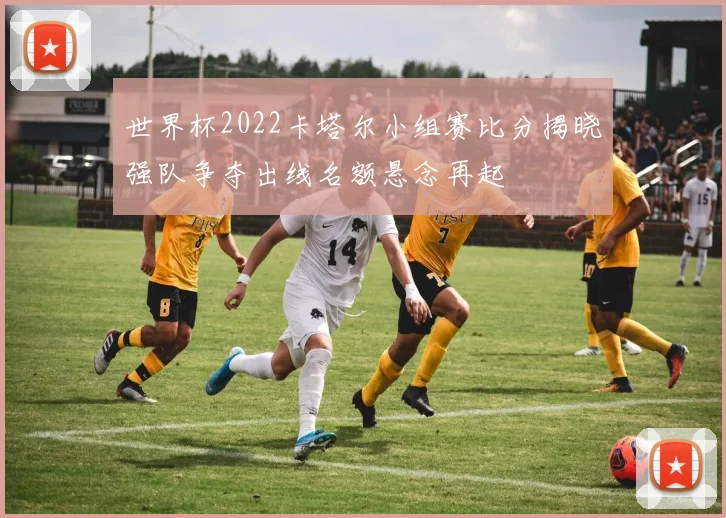 世界杯2022卡塔尔小组赛比分揭晓强队争夺出线名额悬念再起